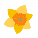 cropped-daffodil-graphic.png